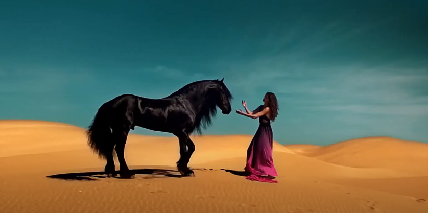 what does a black horse symbolize in a dream